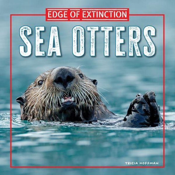 Produktbild: Sea Otters