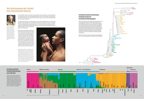 Produktbild: Homo Sapiens