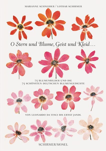 Produktbild: O Stern und Blume, Geist und Kleid...