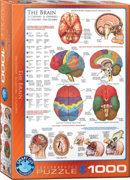 Puzzle 1000 Teile - The Brain