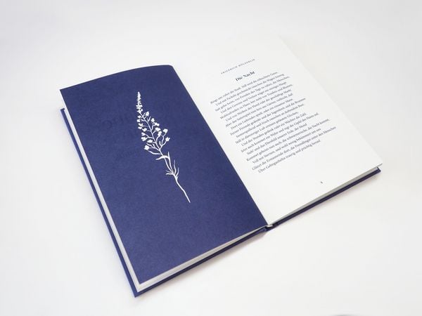 Produktbild: Die blaue Blume. Gedichte der Romantik