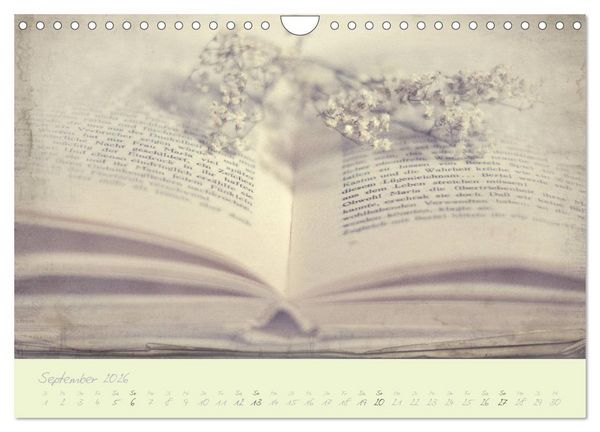 Produktbild: Shabby ist Chic (Wandkalender 2026 DIN A4 quer), CALVENDO Monatskalender
