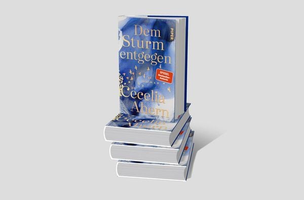 Produktbild: Dem Sturm entgegen