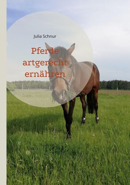 Produktbild: Pferde artgerecht ern&auml;hren