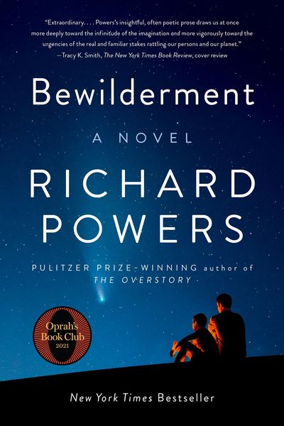 Produktbild: Bewilderment