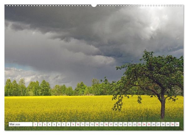 Produktbild: Wildes Wendland (Wandkalender 2026 DIN A2 quer), CALVENDO Monatskalender