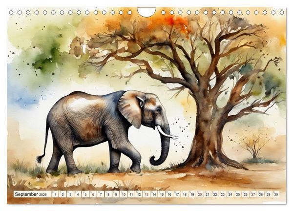 Produktbild: Zauberhafte Aquarelle von Afrikas Tierwelt (Wandkalender 2026 DIN A4 quer), CALVENDO Monatskalender