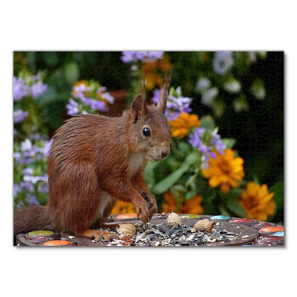 Produktbild: Lais Puzzle Eichh&ouml;rnchen 1000 Teile
