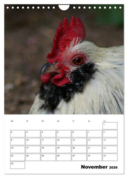 Produktbild: H&uuml;hner Terminplaner (Wandkalender 2026 DIN A4 hoch), CALVENDO Monatskalender