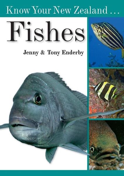 Produktbild: Enderby, T: Know Your New Zealand Fishes