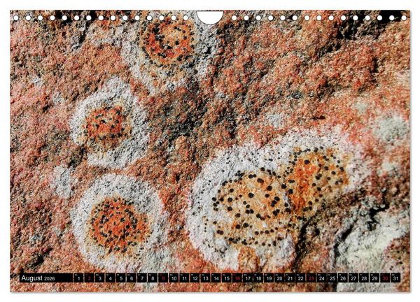 Produktbild: Welt der Flechten (Wandkalender 2026 DIN A4 quer), CALVENDO Monatskalender