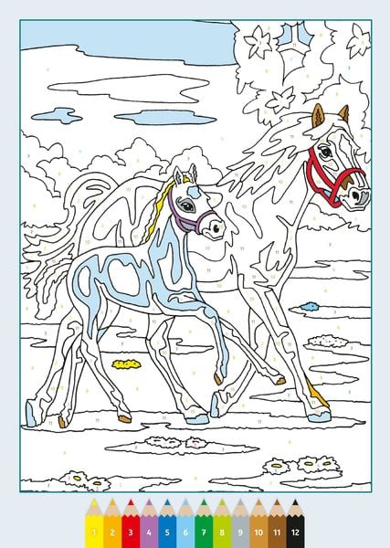 "Ravensburger Malen nach Zahlen ab 7 Pferde - 24 Motive" online kaufen