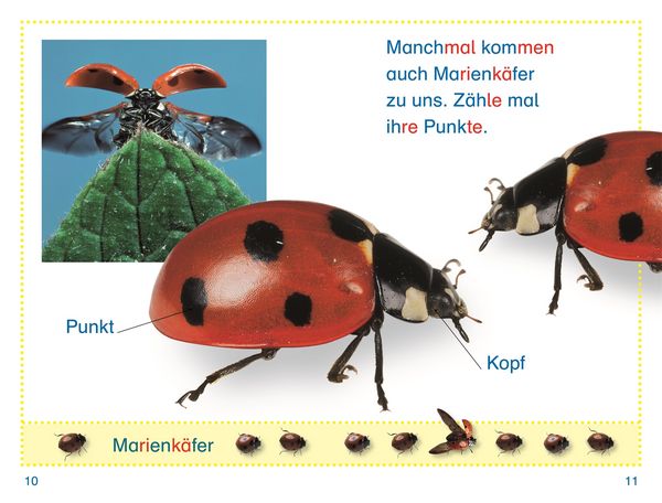 Produktbild: SUPERLESER! Wer versteckt sich im Garten?