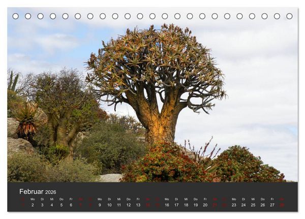 Produktbild: S&uuml;dafrika - Einzigartige Natursch&ouml;nheit (Tischkalender 2026 DIN A5 quer), CALVENDO Monatskalender