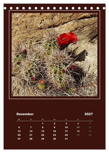 Produktbild: Wilde Kakteen Amerikas (Tischkalender 2027 DIN A5 hoch), CALVENDO Monatskalender