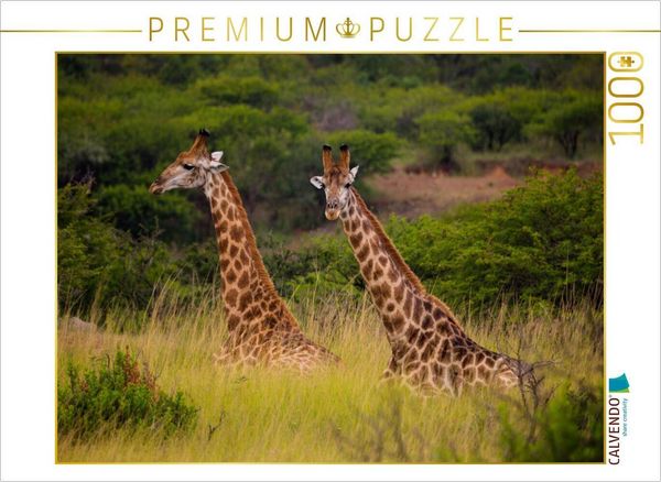 Produktbild: CALVENDO Puzzle Begegnung im Ihtala Game Reserve, S&uuml;dafrika | 1000 Teile Lege-Gr&ouml;&szlig;e 64x48cm Foto-Puzzle f&uuml;r gl&uuml;ckliche Stunden