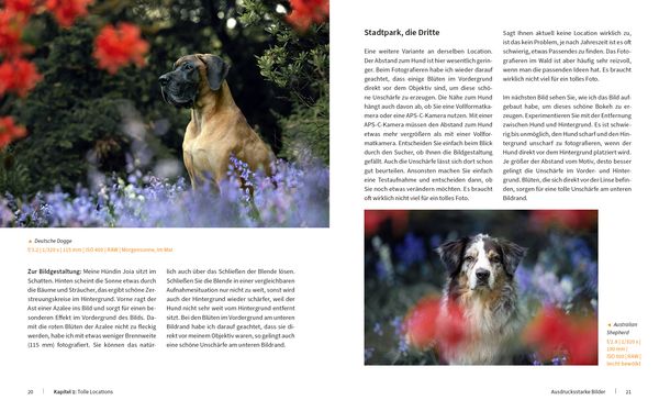 Produktbild: Hunde fotografieren - Kreative Bilder mit "Wau-Effekt"
