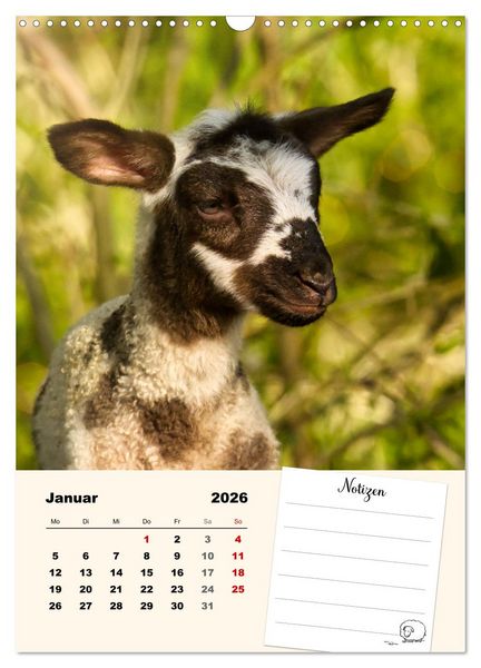 Produktbild: L&auml;mmergl&uuml;ck (Wandkalender 2026 DIN A3 hoch), CALVENDO Monatskalender