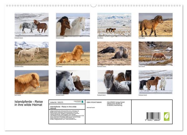 Produktbild: Islandpferde - Reise in ihre wilde Heimat (hochwertiger Premium Wandkalender 2026 DIN A2 quer), Kunstdruck in Hochglanz