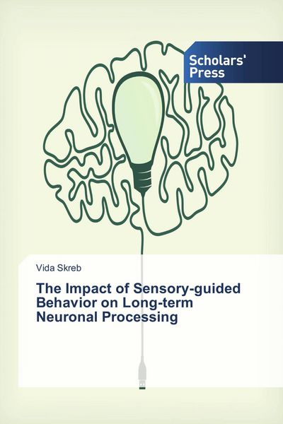 Produktbild: The Impact of Sensory-guided Behavior on Long-term Neuronal Processing