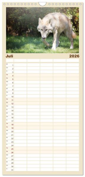 Produktbild: Familienplaner 2026 - Wolfshunde 2026 mit 5 Spalten (Wandkalender, 21 x 45 cm) CALVENDO