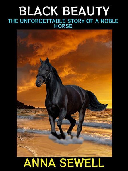 Produktbild: Black Beauty