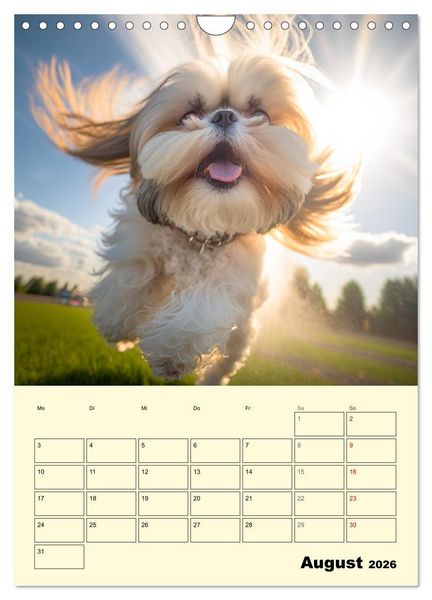 Produktbild: Shih Tzu Alarm. Gl&uuml;ckliche Wuschelk&ouml;pfe (Wandkalender 2026 DIN A4 hoch), CALVENDO Monatskalender