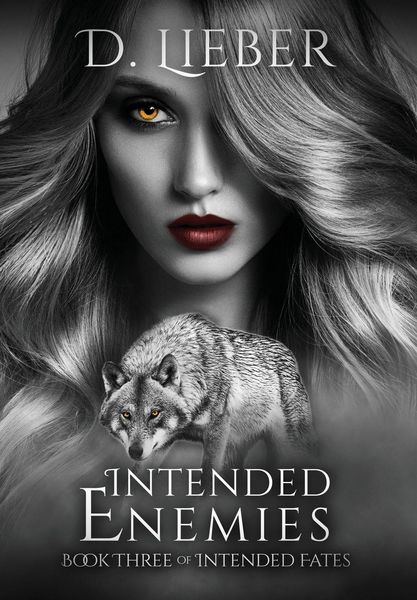 Produktbild: Intended Enemies