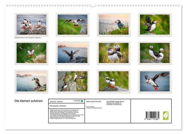 Produktbild: Die kleinen sch&ouml;nen (hochwertiger Premium Wandkalender 2026 DIN A2 quer), Kunstdruck in Hochglanz