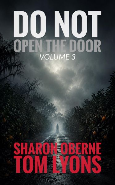 Produktbild: Do Not Open the Door: Volume 3