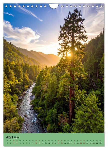 Produktbild: Sequoia Giganten (Wandkalender 2027 DIN A4 hoch), CALVENDO Monatskalender