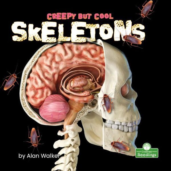Produktbild: Creepy But Cool Skeletons