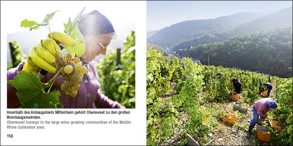 Produktbild: Koblenz bis Bingen / Koblenz to Bingen - Book To Go