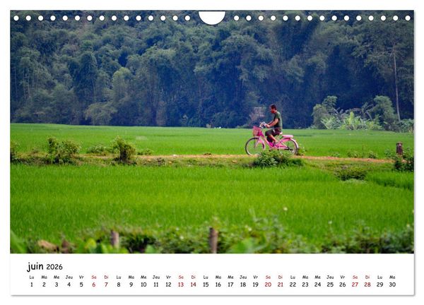 Produktbild: Vietnam du Nord au Sud (Calendrier mural 2026 DIN A4 vertical), CALVENDO calendrier mensuel
