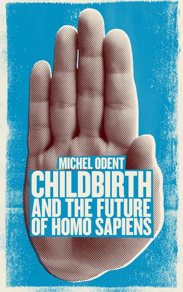 Produktbild: Childbirth and the Future of Homo Sapiens