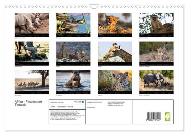 Produktbild: Afrika - Faszination Tierwelt (Wandkalender 2026 DIN A3 quer), CALVENDO Monatskalender