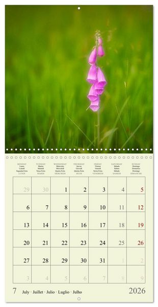 Produktbild: Fleurs du pays des r&ecirc;ves (Calendrier mural carr&eacute; 2026 30x30 cm) Calendrier double avec une page pour vos prises de notes