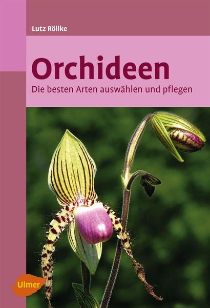 Produktbild: Orchideen