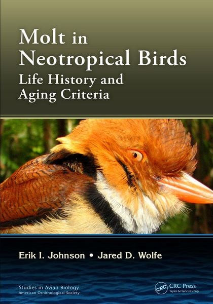 Produktbild: Molt in Neotropical Birds