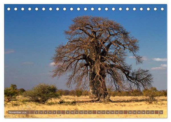 Produktbild: Afrikas B&auml;ume (Tischkalender 2026 DIN A5 quer), CALVENDO Monatskalender