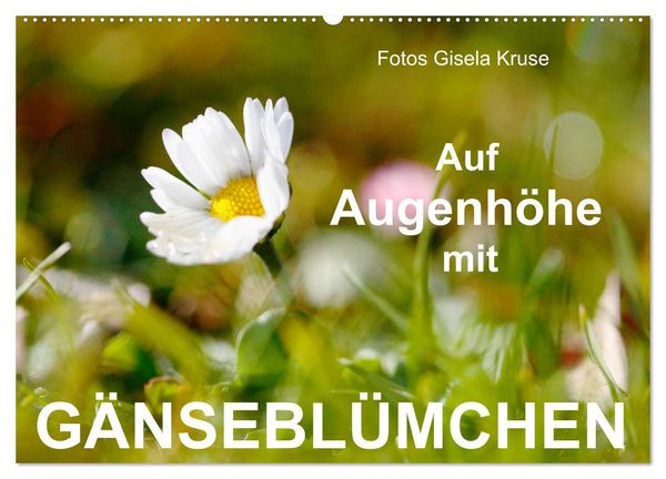 Produktbild: Auf Augenh&ouml;he mit G&auml;nsebl&uuml;mchen (Wandkalender 2026 DIN A2 quer), CALVENDO Monatskalender