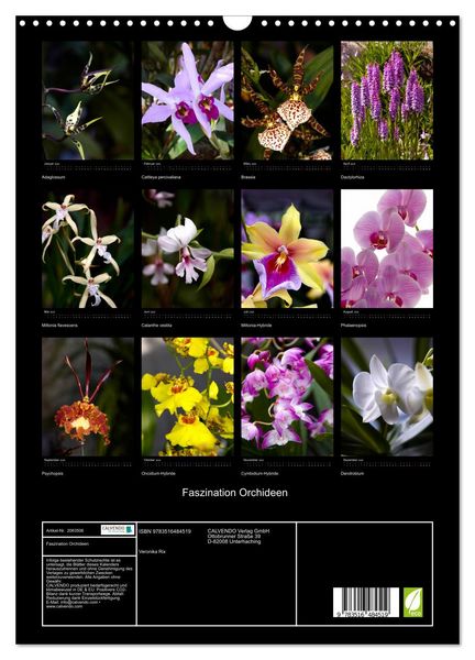 Produktbild: Faszination Orchideen (Wandkalender 2026 DIN A3 hoch), CALVENDO Monatskalender