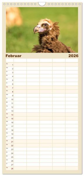 Produktbild: Familienplaner 2026 - Die Geier sind los mit 5 Spalten (Wandkalender, 21 x 45 cm) CALVENDO