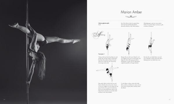 Produktbild: Poledance Passion - Technik, Training, Leidenschaft