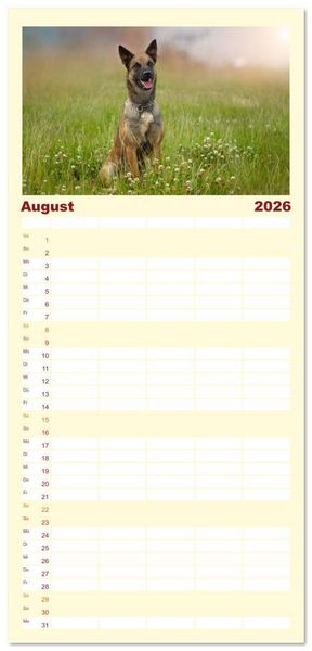 Produktbild: Familienplaner 2026 - Traumhund Malinois mit 5 Spalten (Wandkalender, 21 x 45 cm) CALVENDO