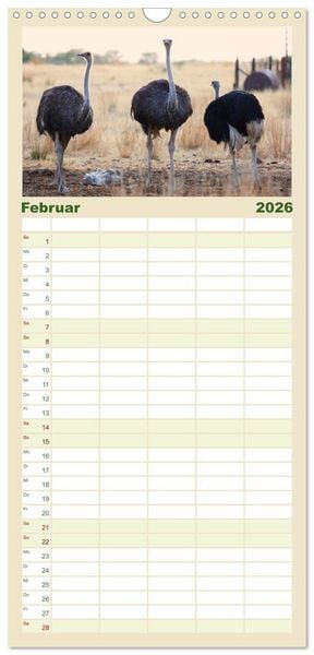 Produktbild: Familienplaner 2026 - Roadtrip in Namibia mit 5 Spalten (Wandkalender, 21 x 45 cm) CALVENDO