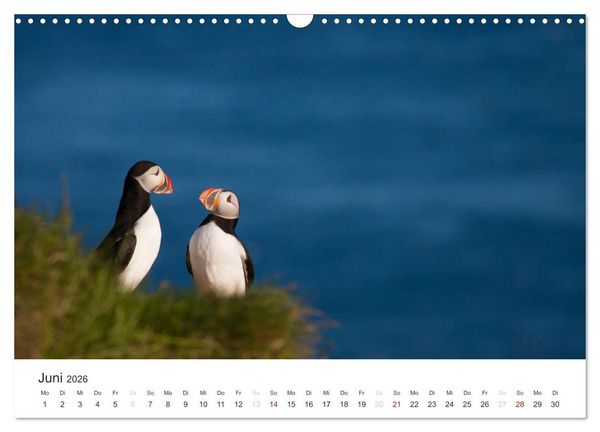 Produktbild: ISLAND 63&deg; - 66&deg; N / 13&deg; - 25&deg; W (Wandkalender 2026 DIN A3 quer), CALVENDO Monatskalender