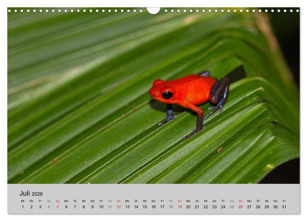 Produktbild: Costa Rica (Wandkalender 2026 DIN A3 quer), CALVENDO Monatskalender