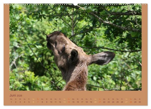 Produktbild: S&uuml;dschweden (hochwertiger Premium Wandkalender 2026 DIN A2 quer), Kunstdruck in Hochglanz