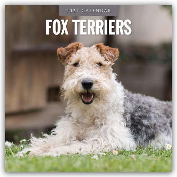 Produktbild: Fox Terriers &ndash; Foxterrier 2027 &ndash; 16-Monatskalender